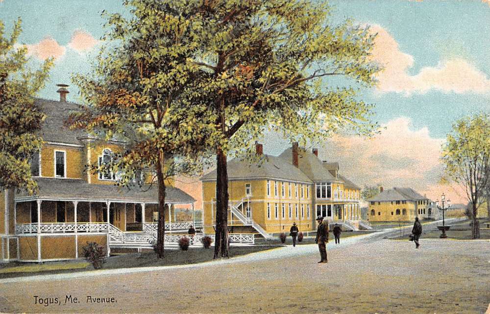 Togus Maine Residential Street Scene Historic Bldgs Antique Postcard