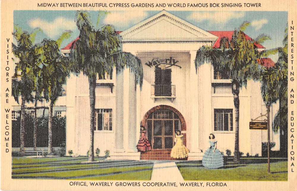 Waverly Florida Waverly Growers Cooperative Antique Postcard J52263 ...