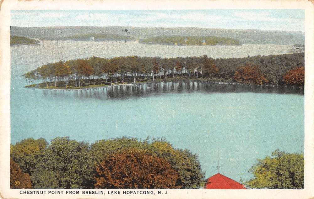 Lake Hopatcong New Jersey view of Chestnut Pt from Breslin antique pc ...