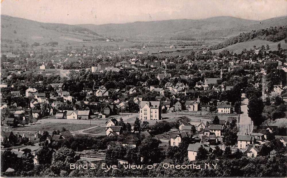 Oneonta New York Birds Eye View Antique Postcard J54090 - Mary L ...