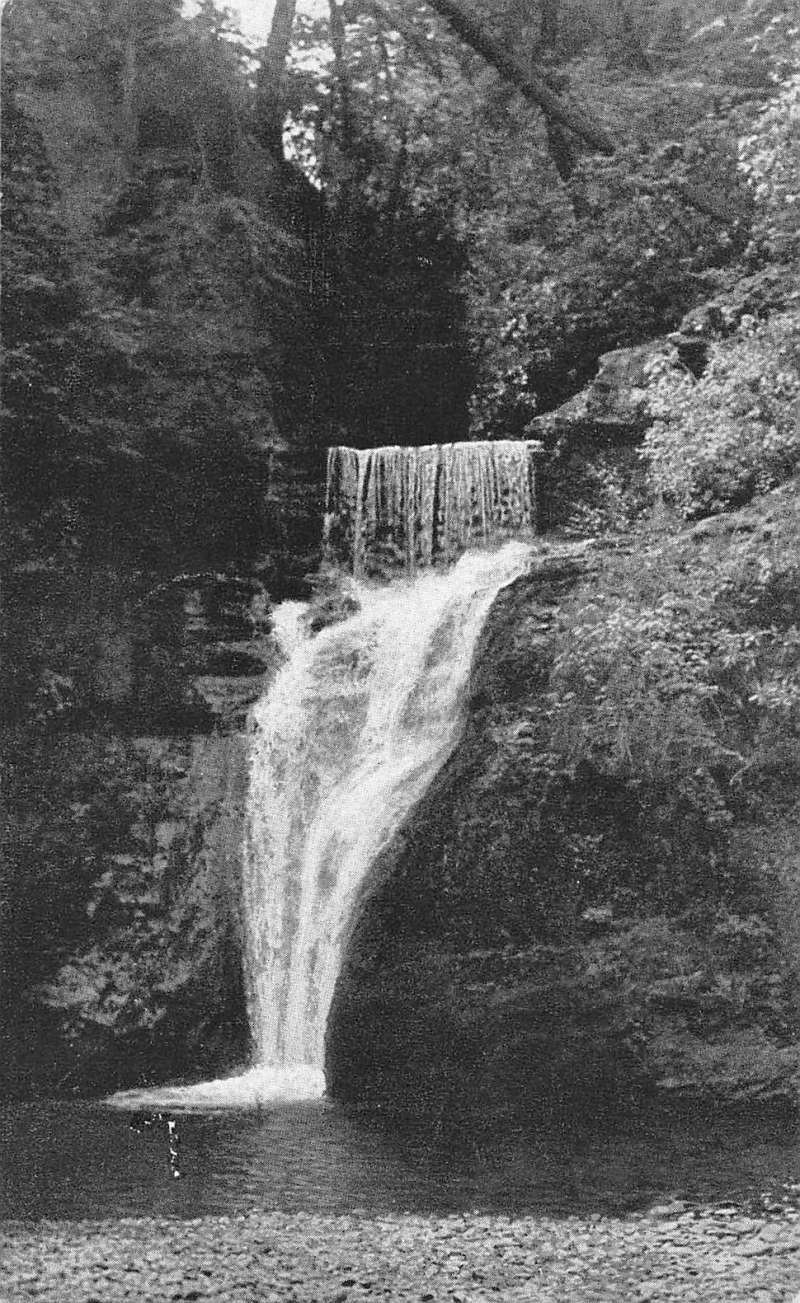 Buck Hill Falls Pennsylvania Lower Falls Water Fall Antique Postcard ...