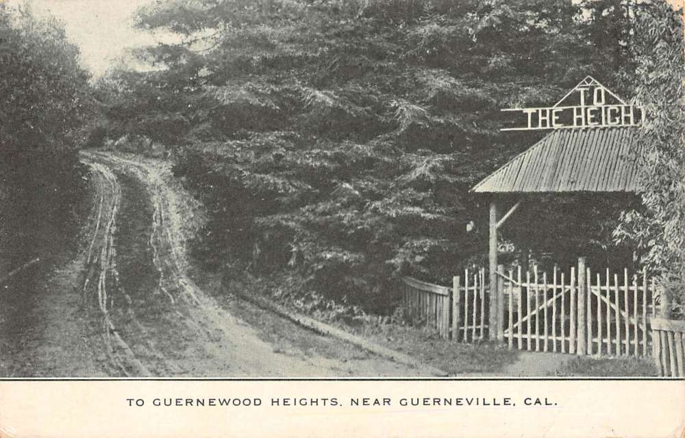 Guerneville California Heights Scenic View Antique Postcard K79102