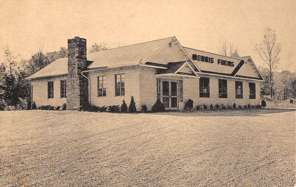 Mansfield Pennsylvania Morris Farms Dairy Bar Antique Postcard K86619