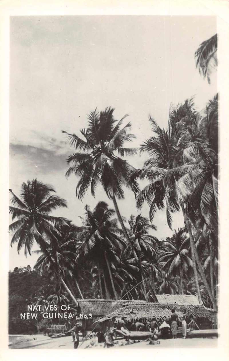 New Guinea Native Village Scene Real Photo Antique Postcard J74999