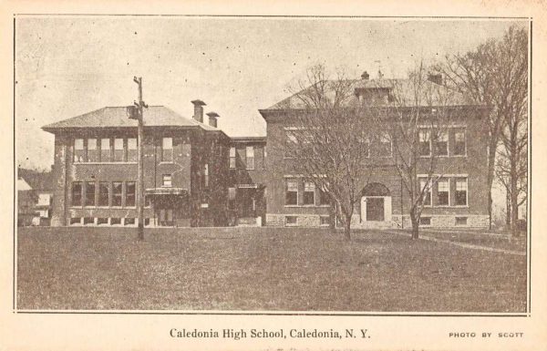 Caledonia New York High School Street View Antique Postcard K97909