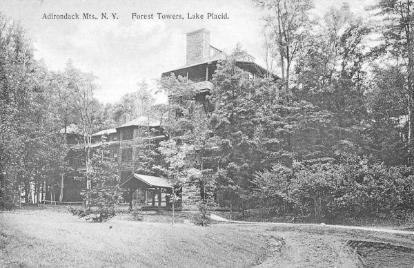 Lake Placid New York Forest Towers Scenic View Antique Postcard K98541