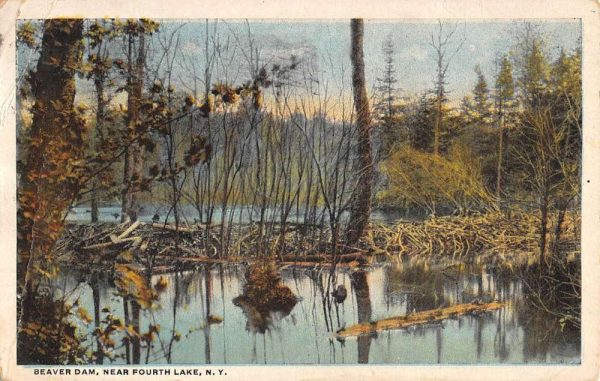 Fourth Lake New York Beaver Dam Waterfront Antique Postcard K98892