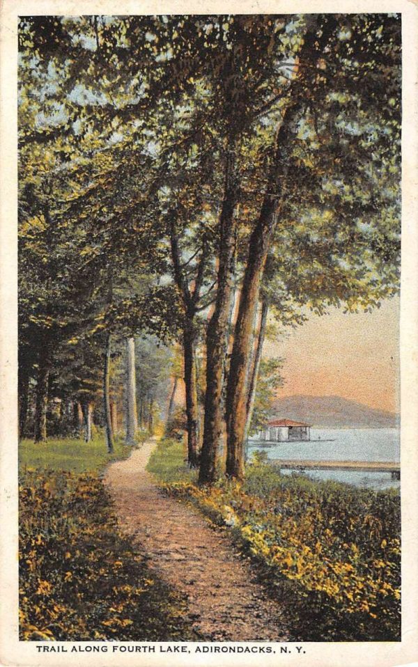 Fourth Lake New York Scenic Forest Trail Antique Postcard K98895