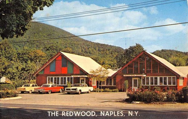 Naples New York The Redwood Street View Vintage Postcard K99113