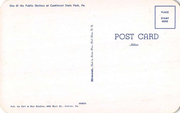 Cookforest State Park Pennsylvania Public Shelters Antique Postcard K99392 - Image 2