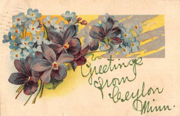 Ceylon Minnesota Flower Greeting Antique Postcard K99541