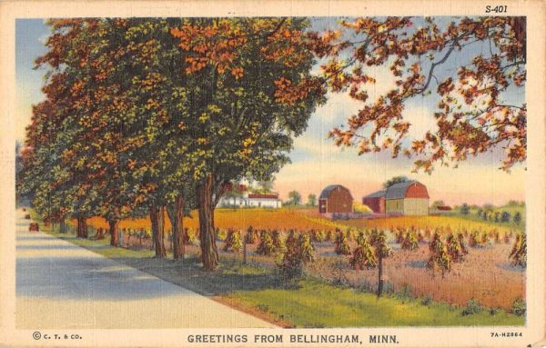 Bellingham Minnesota Scenic Roadway Greeting Antique Postcard K99552