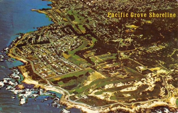 Pacific Grove California Birdseye View Of City Vintage Postcard K99746