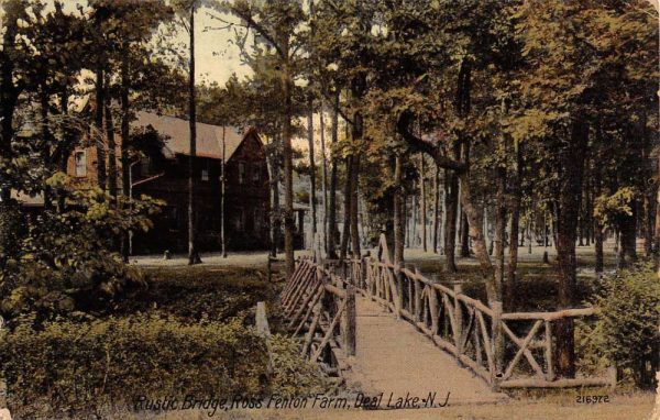 Deal Lake New Jersey Ross Fenton Farm Rustic Bridge Antique Postcard K99921