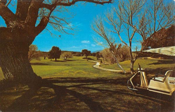 Warner Springs California Scenic Golf Course Vintage Postcard K100335