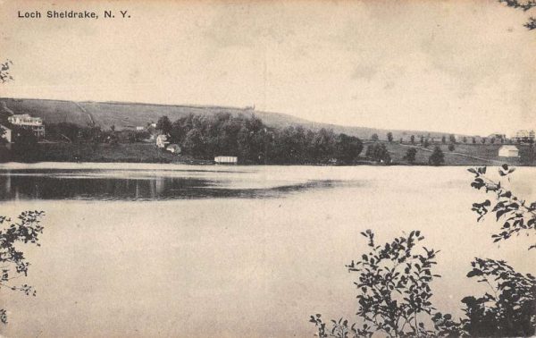 Loch Sheldrake New York Scenic Waterfront View Antique Postcard K101554