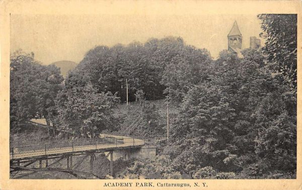 Cattaraugus New York Academy Park Birdseye View Antique Postcard K101566