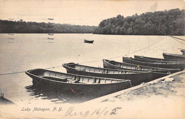 Lake Mohegan New York Rowboat Waterfront Scenic View Antique Postcard K101568