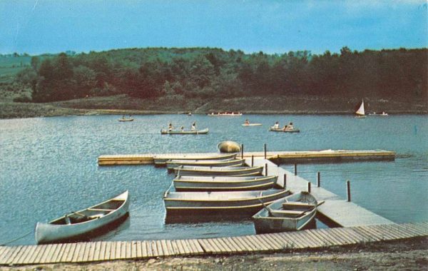 Arkport New York Lake Silver Dew Boating Area Vintage Postcard K101693