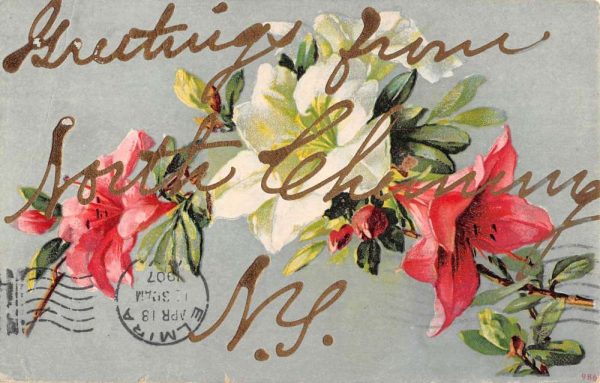 North Chemung New York Doane Cancel Flower Greeting Antique Postcard K101716