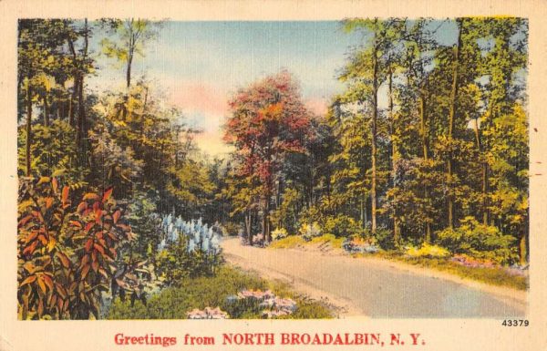 North Broadalbin New York Scenic Roadway Greeting Antique Postcard K101717