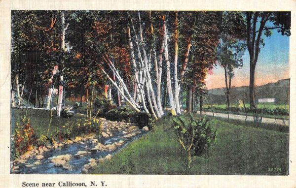 Callicoon New York Scenic River View Greeting Antique Postcard K101724