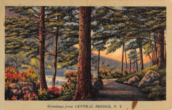 Central Bridge New York Scenic Waterfront Greeting Antique Postcard K101727