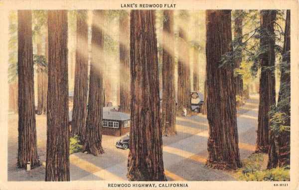 Redwood Highway California Lanes Redwood Flat Antique Postcard K102600