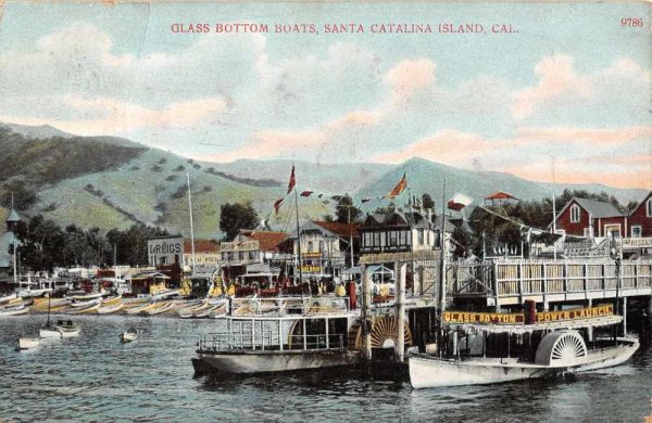 Santa Catalina Island California Glass Bottom Boats Antique Postcard K102709