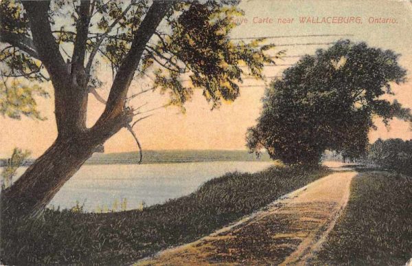 Wallaceburg Ontario Canada Snye Carte Scenic View Antique Postcard J79249