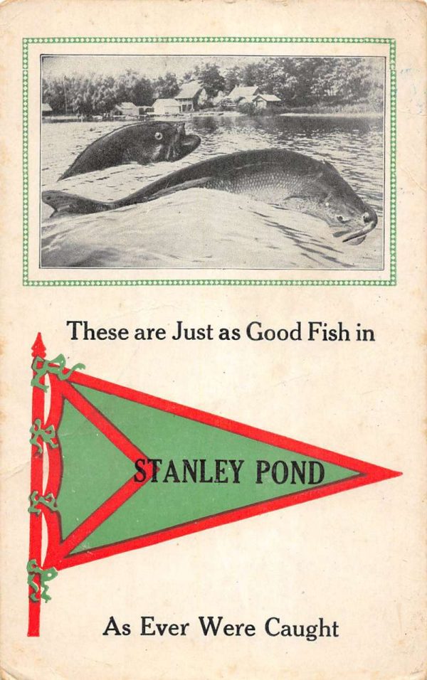 Stanley Pond Maine Giant Fish Pennant Flag Antique Postcard K103221