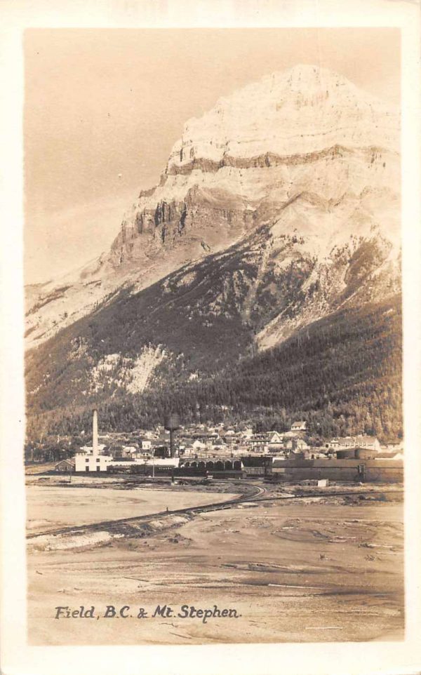 Field BC Canada Mt Stephen Scenic View Real Photo Antique Postcard J79272