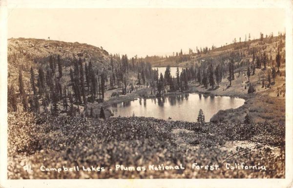 Plumas Forest California Campbell Lakes Real Photo Antique Postcard K103617