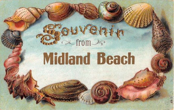 Midland Beach New York Souvenir Seashell Border Antique Postcard K103637