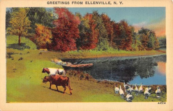 Ellenville New York Cow Pasture Greeting Antique Postcard K103662