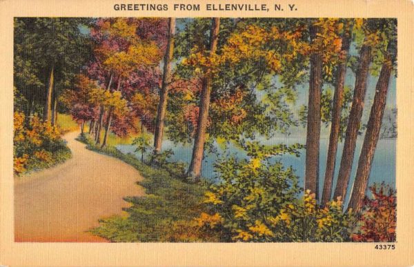 Ellenville New York Scenic Waterfront Greeting Antique Postcard K103663