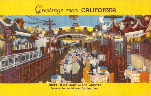 Los Angeles California Lucca Restaurant Interior Antique Postcard K103877