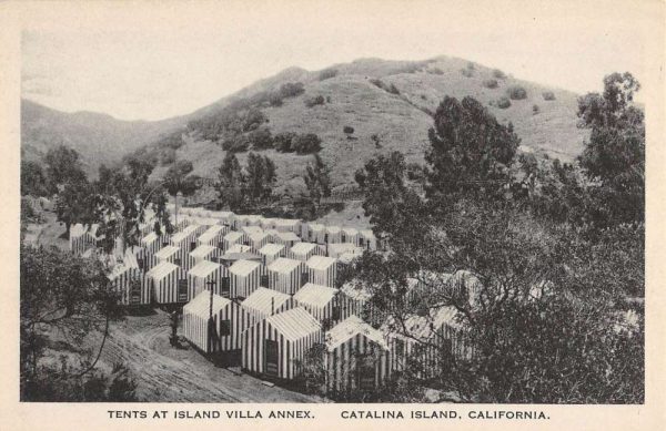 Catalina Island California Island Villa Annex Tents Antique Postcard K104215