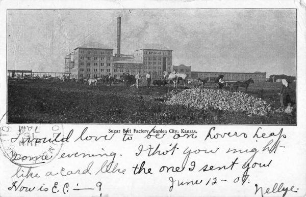 Garden City Kansas Sugar Beet Factory Antique Postcard K104528