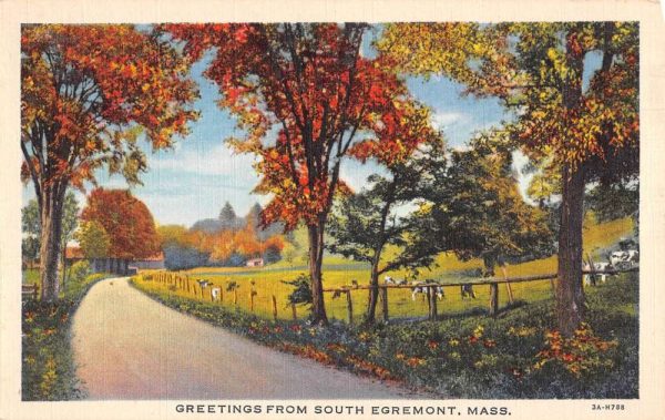 South Egremont Massachusetts Cow Pasture Greeting Antique Postcard K104604