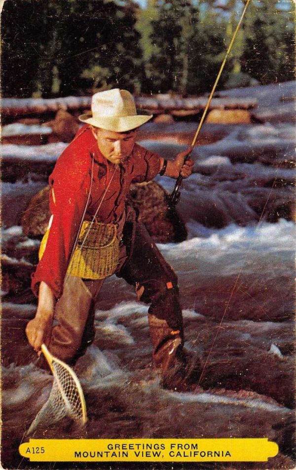 Mountain View California Fish Catcher Net Vintage Postcard K104608