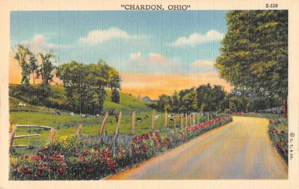 Chardon Ohio Greetings Cows Farmland Scenic Drive Antique Postcard J80186