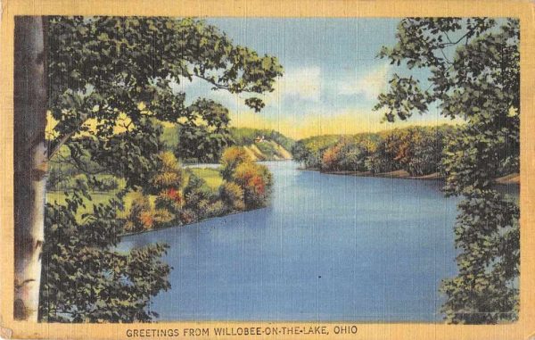 Willobee on the Lake Ohio Greetings Scenic View Linen Vintage Postcard J80219