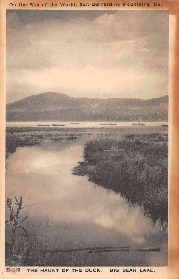 San Bernardino Mountains California Big Bear Lake Haunt of the Duck PC J80478