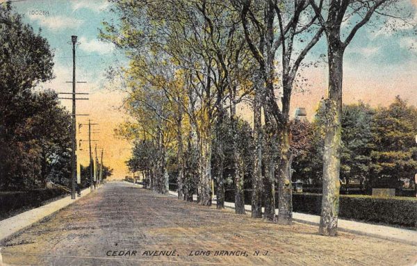 Long Branch New Jersey Cedar Avenue Street Scene Antique Postcard K105404