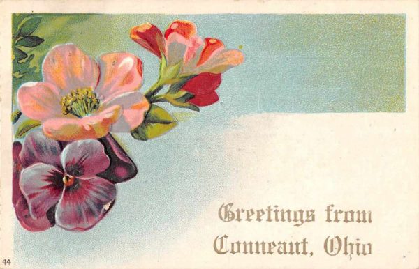 Conneut Ohio Greetings Flowers Antique Postcard J80789