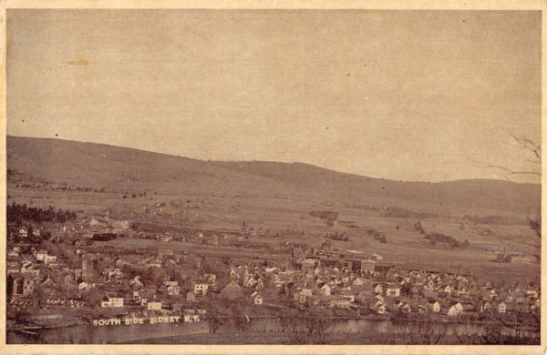 Sidney New York South Side Birdseye View Antique Postcard K106120