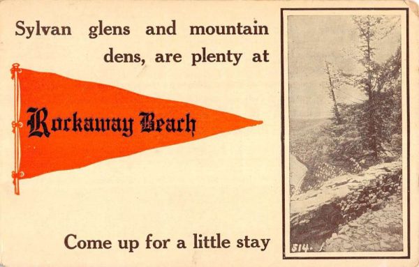 Rockaway Beach New York Scenic View Pennant Flag Antique Postcard K106167