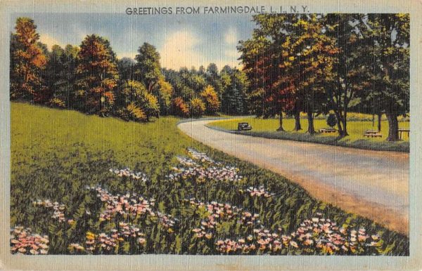 Farmingdale New York Scenic Roadway Greeting Antique Postcard K106168