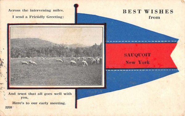 Sauquoit New York Sheep Pasture Pennant Flag Antique Postcard K106170